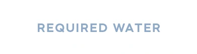 PROCESS